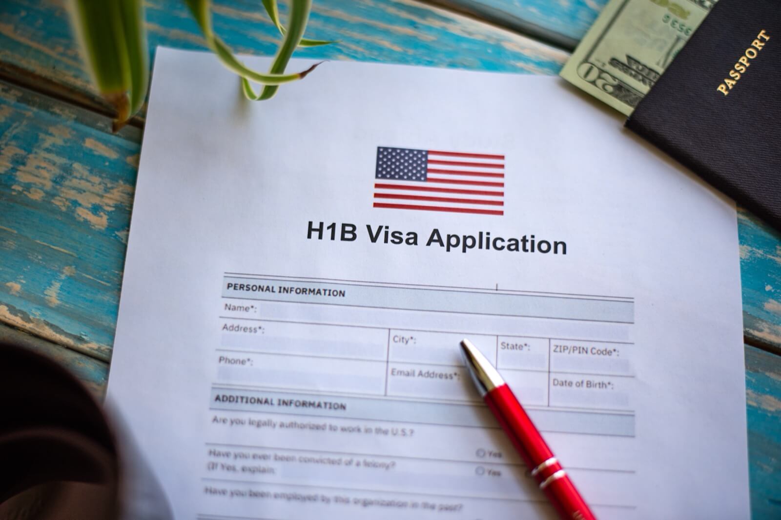 Solicitud de Visa